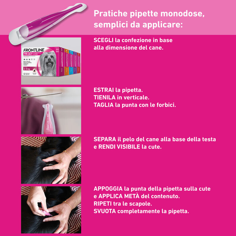 Frontline Tri-act antiparassitario cani 5-10 kg - 6 pipette