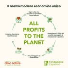 Almo Nature Daily Dog Adult Pesce 100g