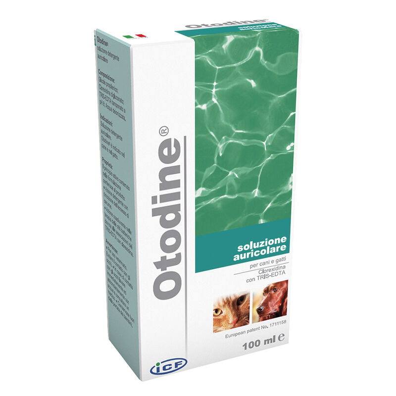 I.c.f Otodine detergete auricolare 100 ml