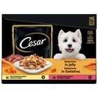 Cesar Dog Delizie del Giorno Pollo e Carote e Manzo e Verdure in Gelatina 12x100 gr
