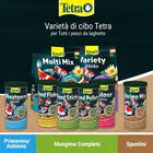 Tetra Pond Sticks 10 lt