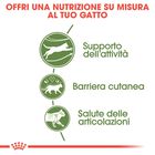 Royal Canin Cat Adult Outdoor 2 kg