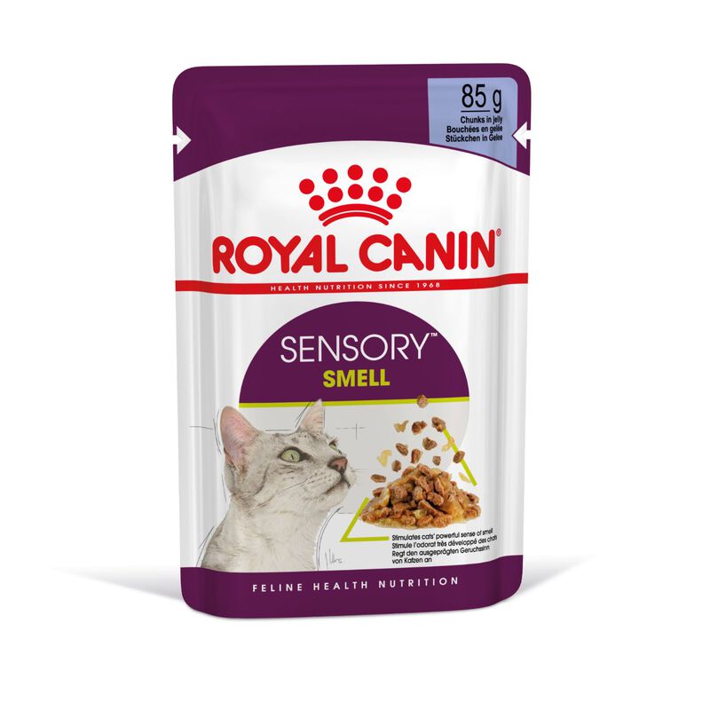 Royal Canin Cat Adult Sensory Smell Jelly 85 gr Royal Canin Cat Adult Sensory Smell Jelly 85 gr