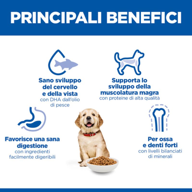 Hill's Science Plan Dog Puppy Large al Pollo 14,5 kg