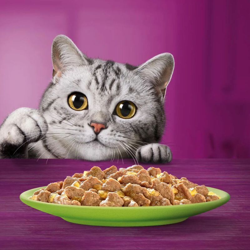 Whiskas Pranzetti Mari e Monti in Salsa con Pollo e Tonno 6 x 50 gr
