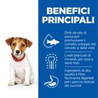 Hill's Science Plan  Small & Mini Dog Puppy con Pollo 1,5 kg 