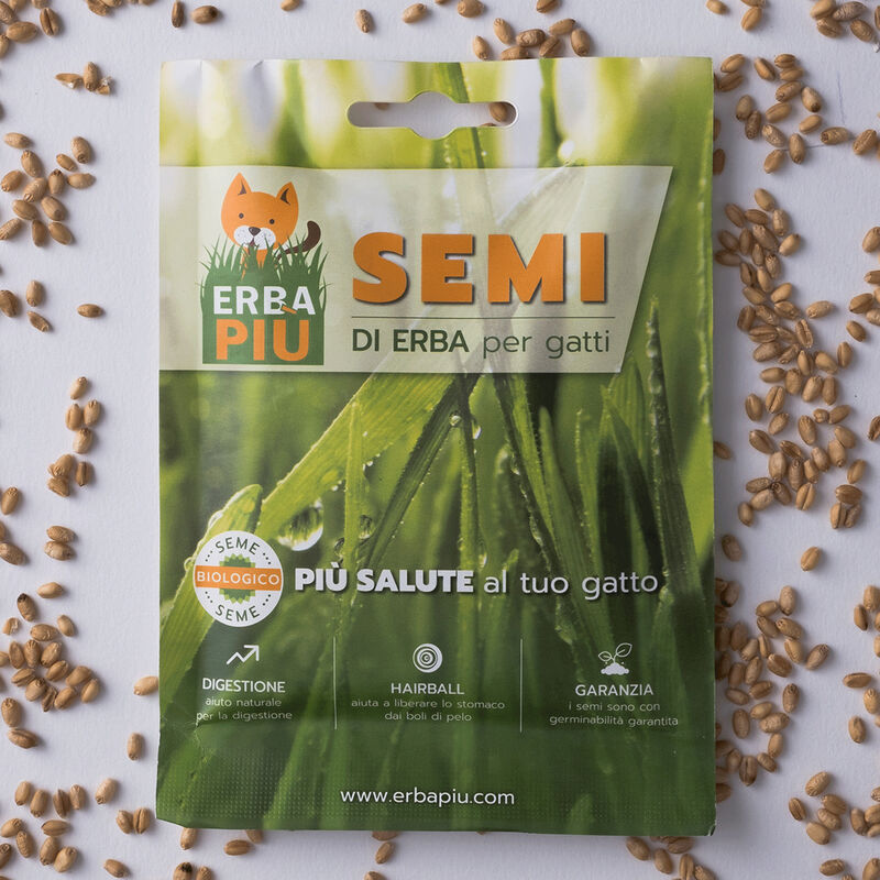 Semi di Erba per gatti Erbapiù 40 gr