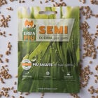 Semi di Erba per gatti Erbapiù 40 gr