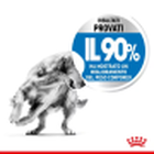 Royal Canin Dog Maxi Adult Light Weight Care 3 kg