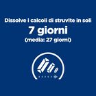 Hill's Prescription Diet Cat c/d Multicare spezzatino con pollo e verdure 82 gr.