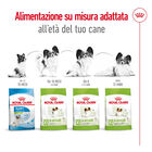 Royal Canin Dog Adult 8+ X-Small 500 gr