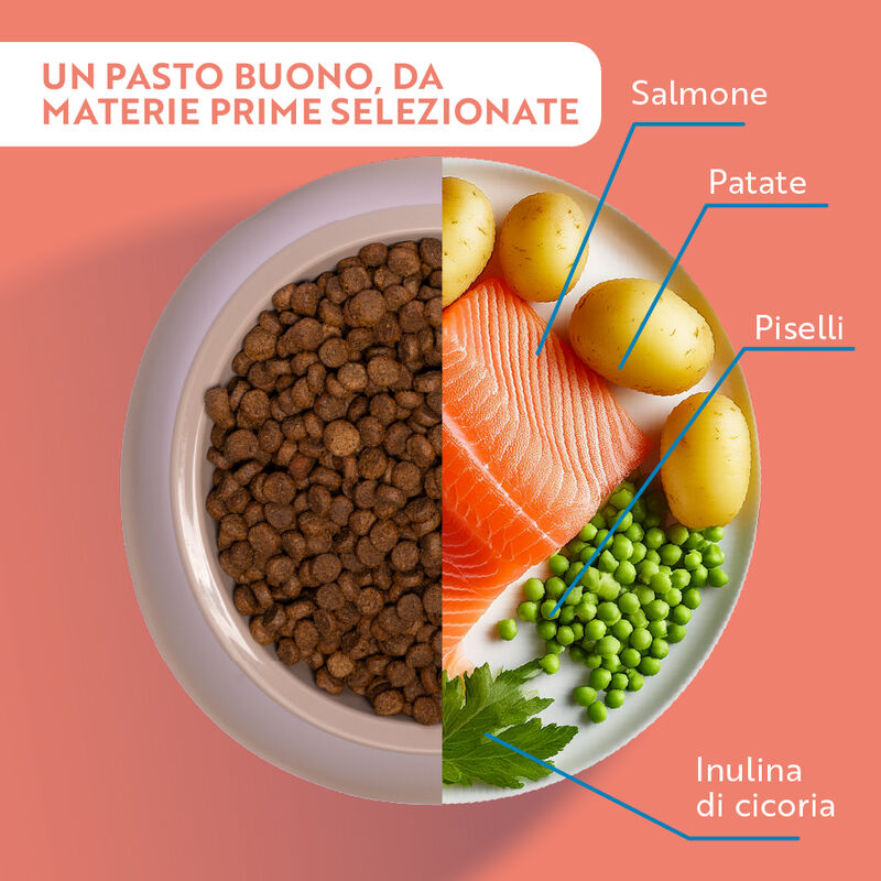 Monopro Cat Adult Salmone 350gr