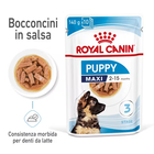Royal Canin Dog Maxi Puppy 140 gr