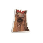 Camon Vetrofanie Yorkshire Terrier