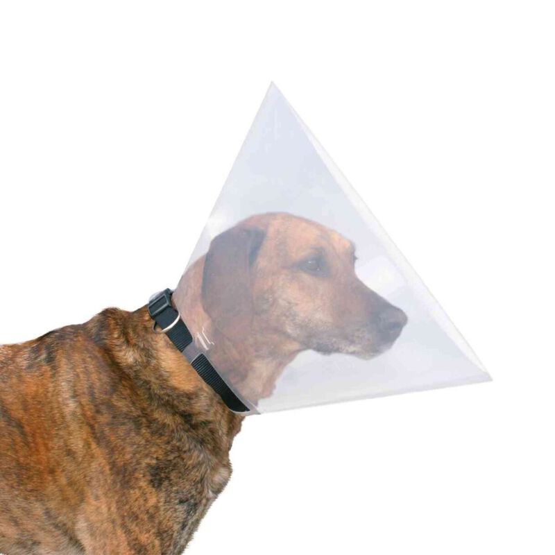 Trixie Collare elisabettiano tg. XS/S