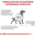 Royal Canin Veterinary Diet Dog Adult Gastrointestinal Hight Fiber 410 gr
