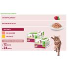 Natural Trainer Cat Adult al Pollo e Salmone  24 pz x 85 gr