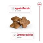 Royal Canin Dog Mini Adult +8, 8kg Royal Canin Dog Mini Adult +8, 8kg