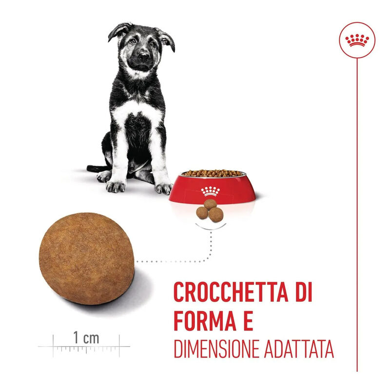 Royal Canin Puppy Maxi 3kg