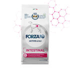 Forza10 Active Vet Diet Dog Adult Intestinal 10 kg