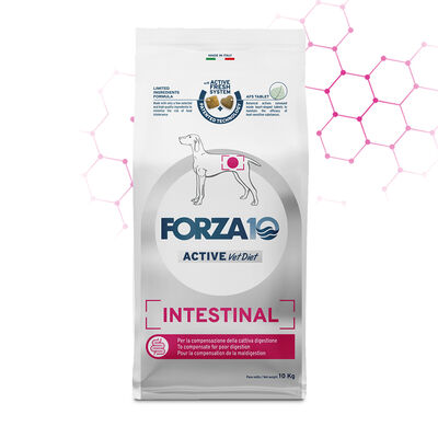 Forza10 Active Vet Diet Dog Adult Intestinal 10 kg