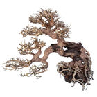 Amtra Oriental Wind 7 Small image number 0