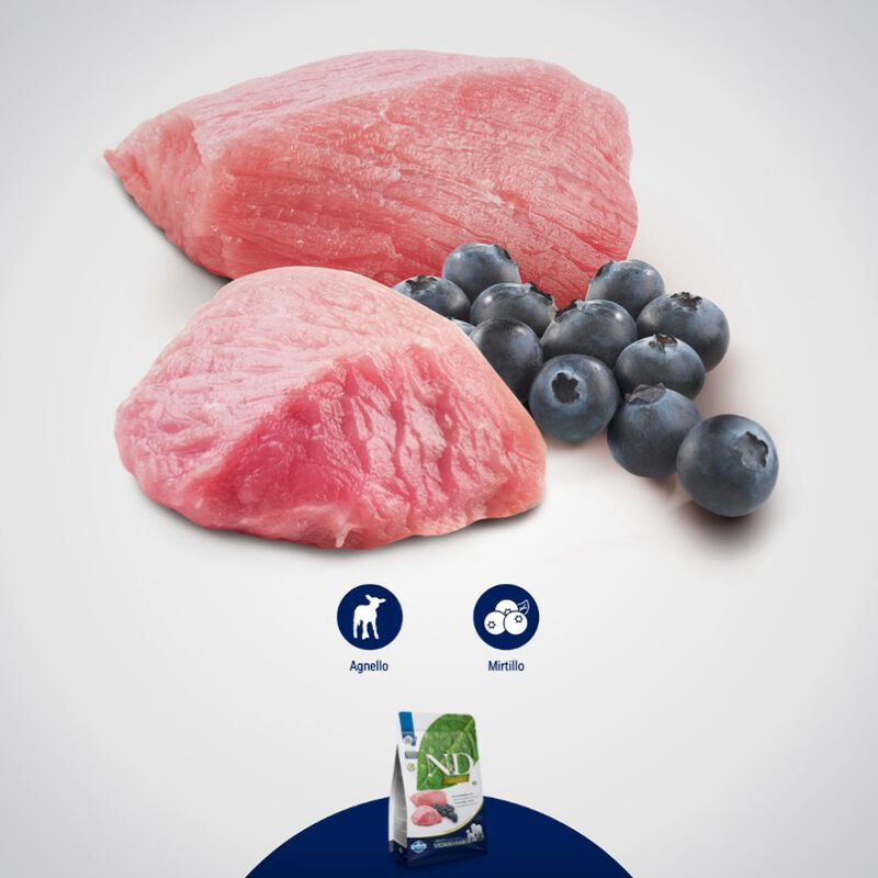 Farmina N&D Prime Dog Adult Mini Agnello e Mirtillo 2,5 kg