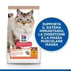 Hill's Science Plan Cat Adult No Grain con Pollo 1,5 kg