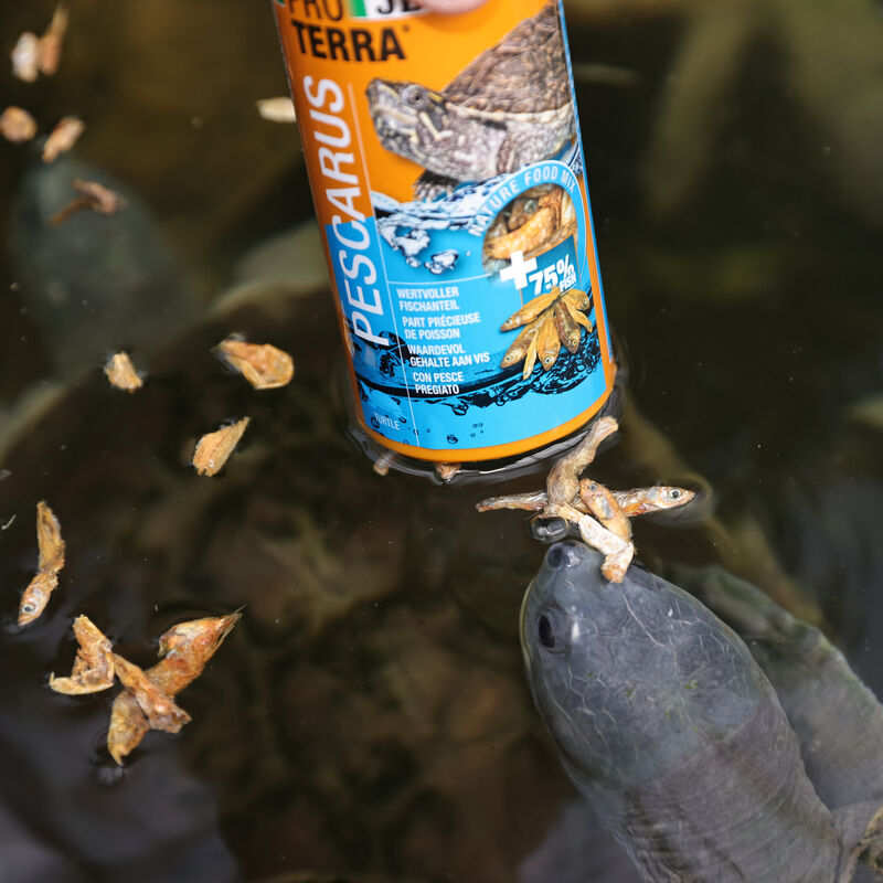 Jbl Proterra Pescarus 250 ml