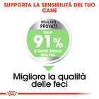 Royal Canin Dog Adult e Senior Medium Digestive Care 3 kg