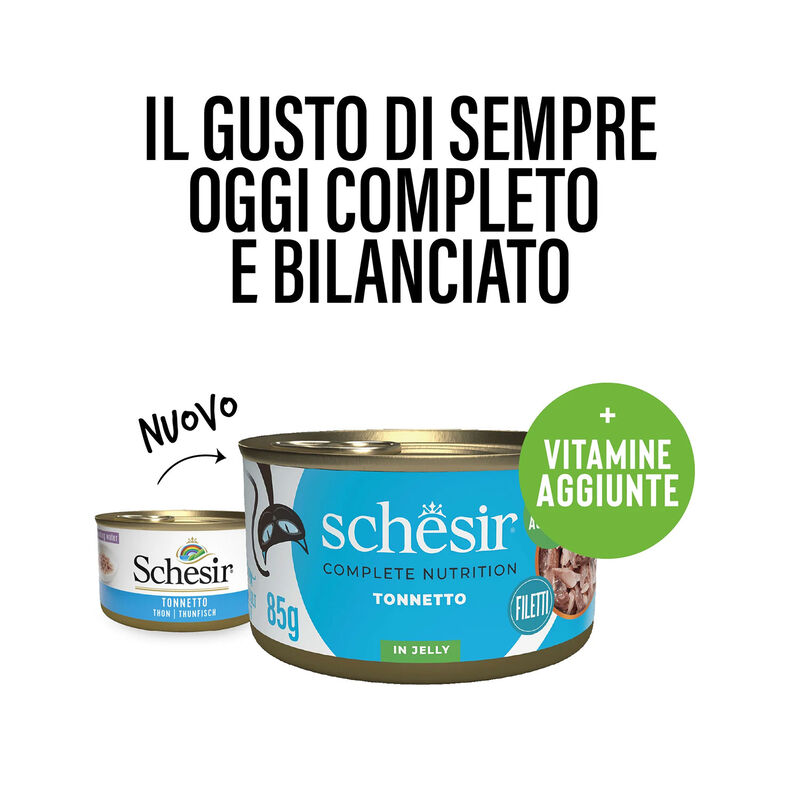 Schesir Cat Adult Tonnetto jelly 85g