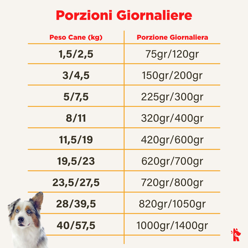Real Bowl Dog Grain Free Manzo 150 gr