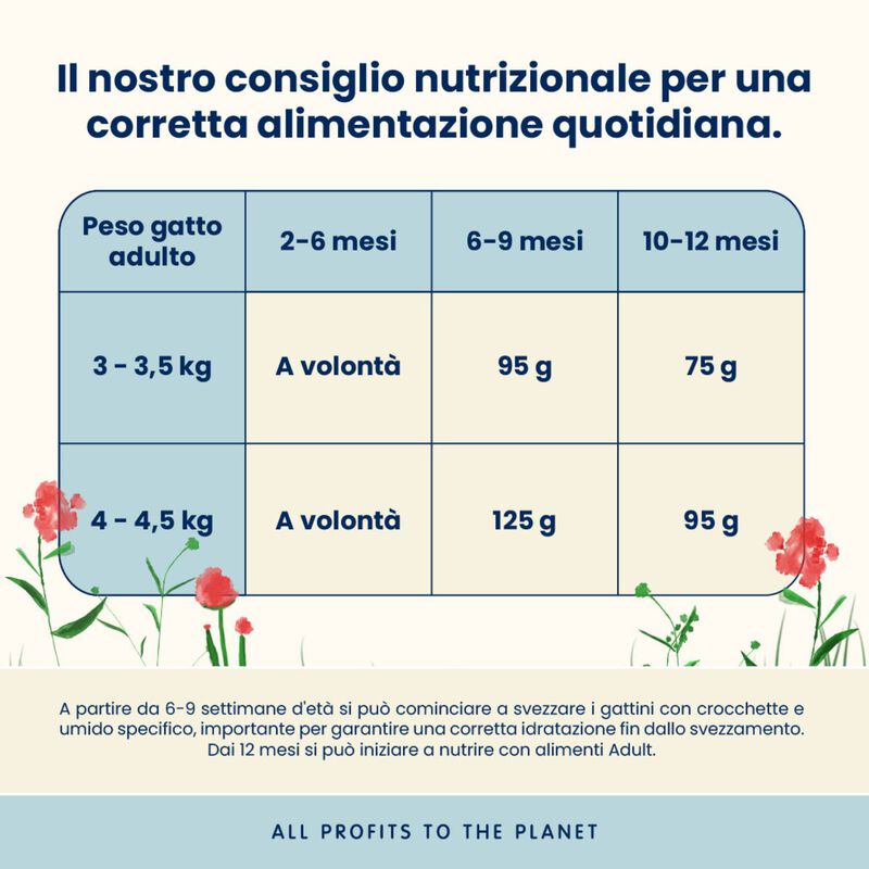 Almo Nature Kitten con Pollo 2kg