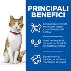 Hill's Science Plan Cat Adult Sterilised al Pollo 3kg