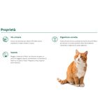 Oasy Superior Formula Cat Adult Sterilized al Tacchino 1,5 kg