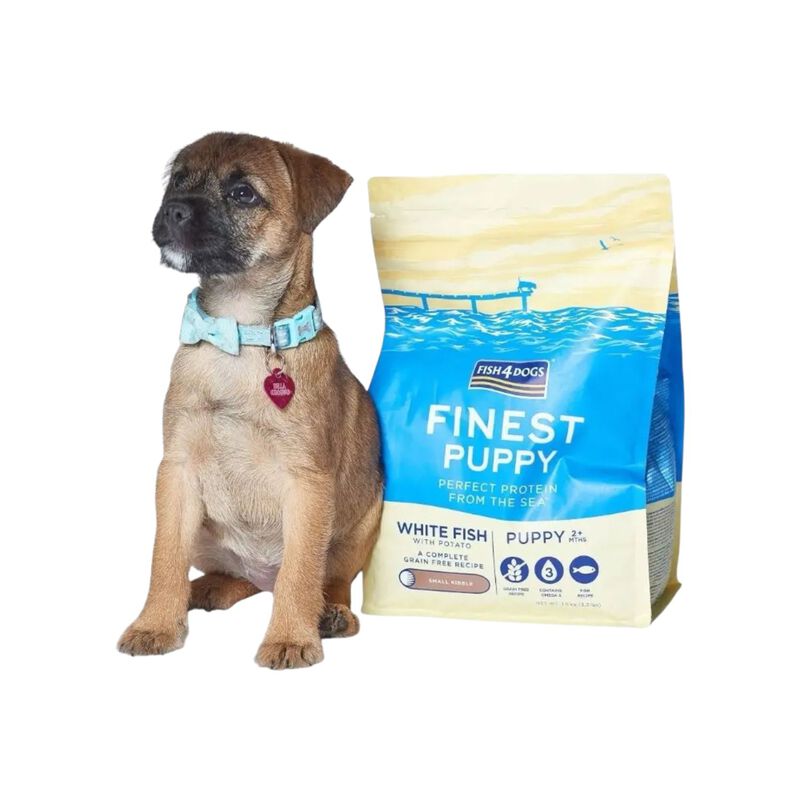 Fish4dogs Finest Dog Puppy Small Pesce Bianco 6 kg