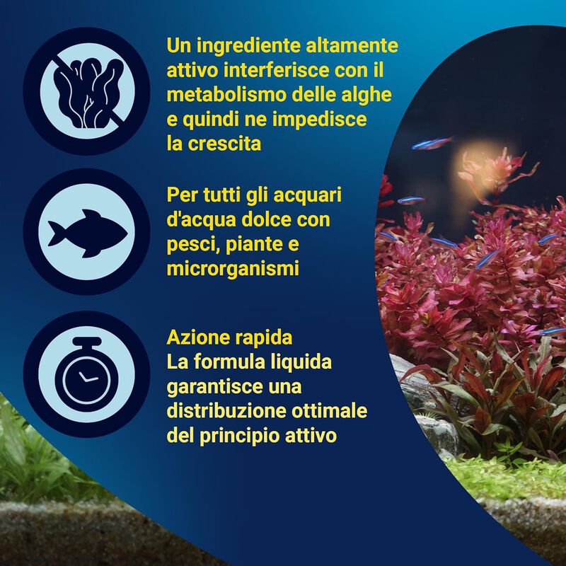 Tetra AlguMin 250 ml