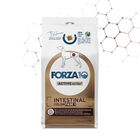 Forza 10 Active Vet Diet Dog Intestinal Colon Fase1 4 Kg image number 0