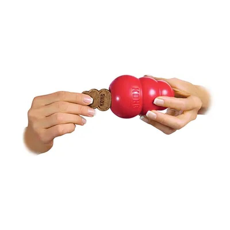 Kong Biscotti per cani L Pollo 312 gr