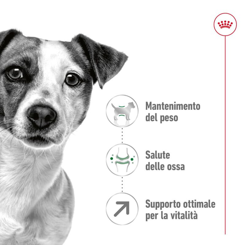Royal Canin Dog Mini Adult +8, 8kg Royal Canin Dog Mini Adult +8, 8kg
