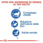 Royal Canin Cat Senior Indoor +7 anni 400 gr