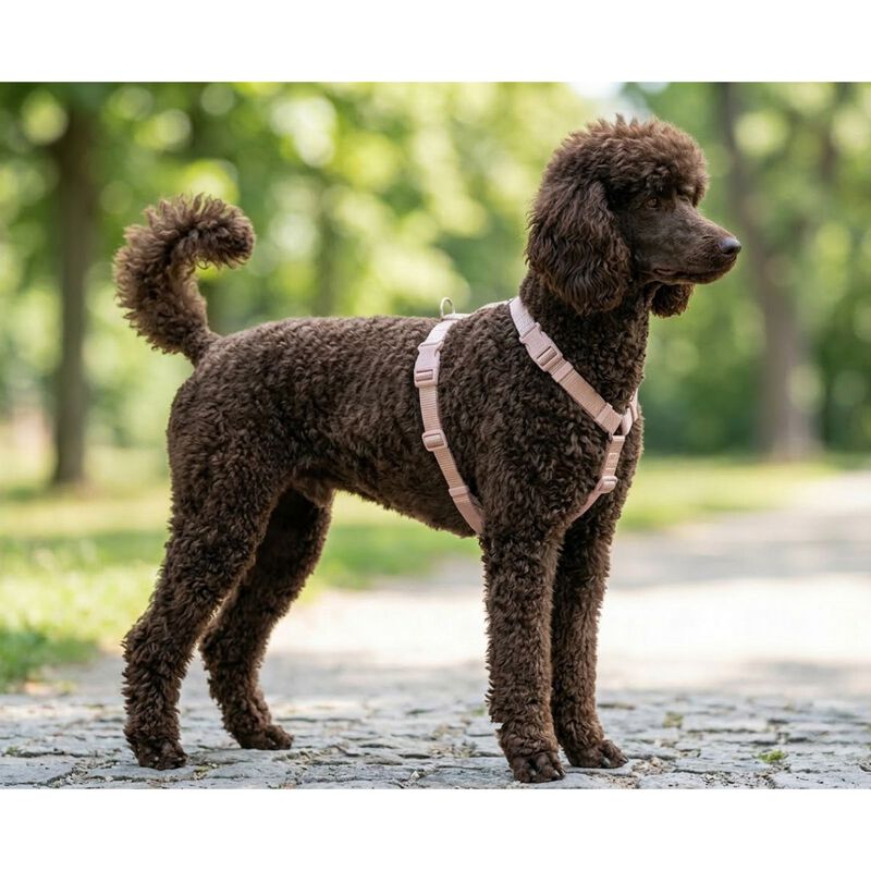 Trixie Premium Pettorina ad H color Blush mis. M-L