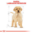 Royal Canin Dog Puppy Labrador Retriver 12 kg