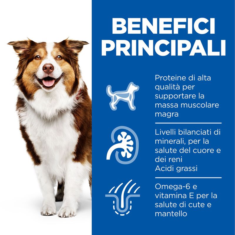 Hill's Science Plan Dog Medium Mature Adult 7+ con Pollo 2,5 kg