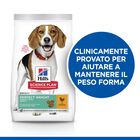 Hill's Science Plan Dog Perfect Weight Medium con Pollo 2 kg