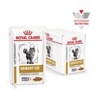 Royal Canin Veterinary Diet Cat Urinary S/O Moderate Calorie 12x85 gr
