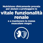 Hill's Prescription Diet Crocchette per gatti adulti con Salmone 400 gr