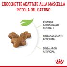 Royal Canin Cat Kitten 2 kg