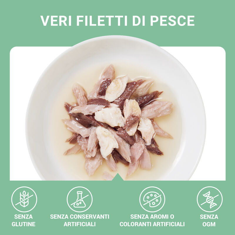Schesir Cat Tonnetto con Orata in brodo 70 gr