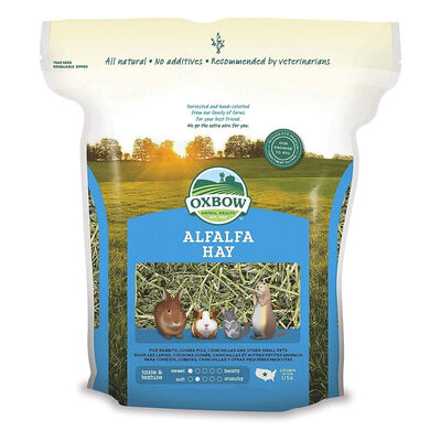 Oxbow Alfalfa Hay Mangime per Conigli e Roditori 1,13 kg